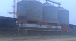 CN M33571